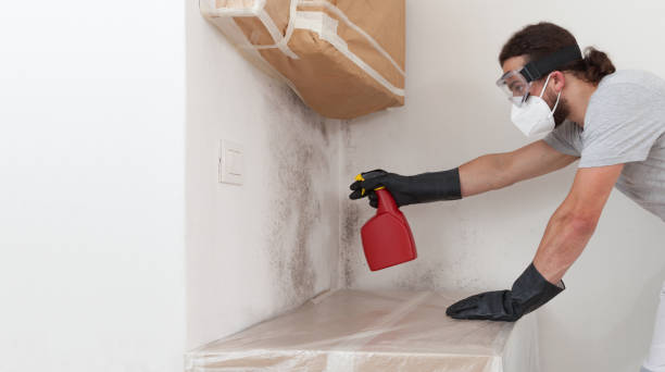 Professional Bathroom Mold Removal technician working in Pierce, CO